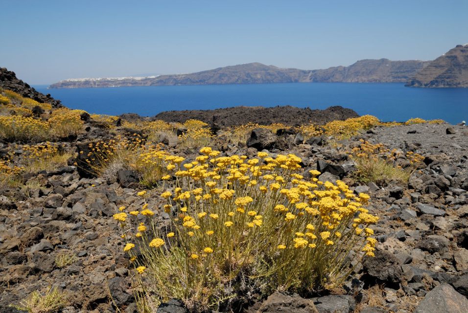 1-Day Boat Trip: Santorini Volcano, Thirassia & Oia Sunset - Oia sunset by coach: when the streets get crowded fast