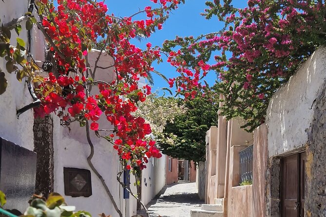 3 hours Panoramic Tour to Oia - Stop 3: Oia on the cliff ridge for walking, shopping, and architecture (about 1 hour)