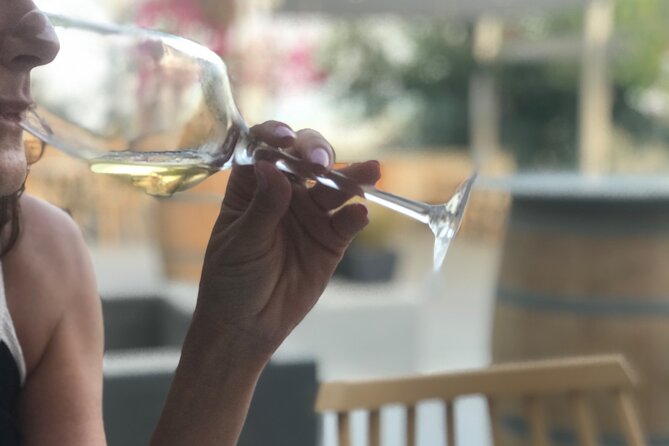 3 Wineries wine tasting & Greek Meal -Food and Wine pairing - At least 12 PDO and indigenous wines: how to make sense of all that
