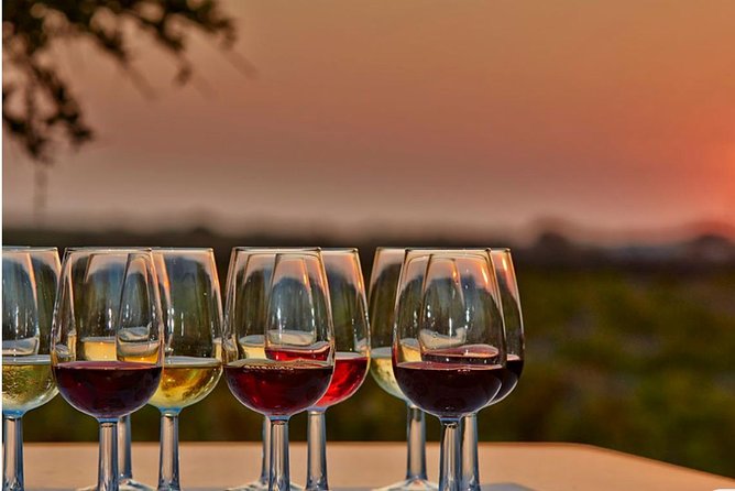 4.5 Hours Through the Grapevine Private Wine Tour - Key Highlights You’ll Care About