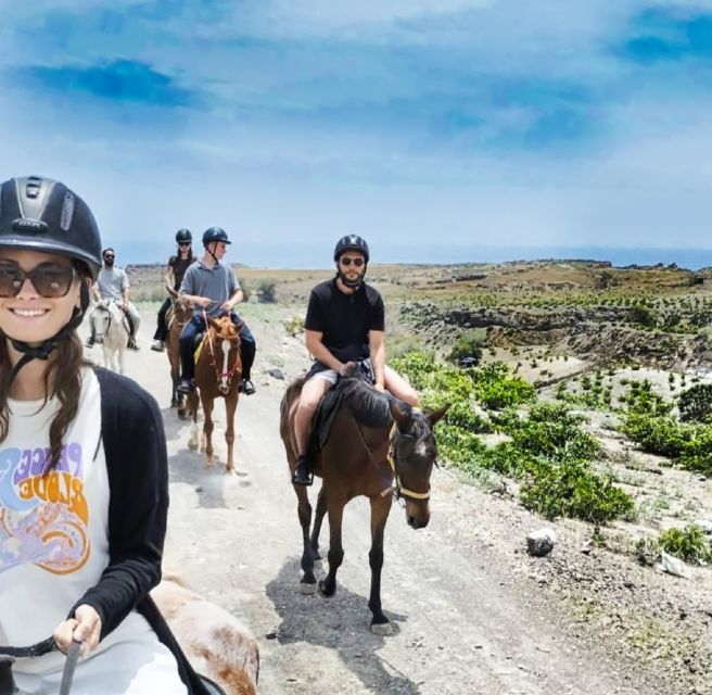 Akrotiri: Guided Horseback Riding Day Trip to a Beach - From Stables to Vineyards: the First Part of the Ride