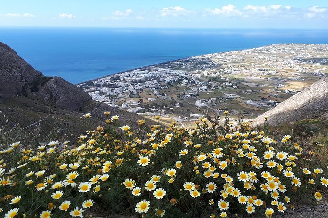Amazing sightseeing in Santorini 2022 - A fast, story-led Santorini loop that actually works