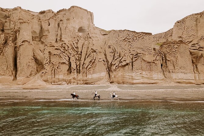 Beach Gallop - Horse Riding Safari for Experienced Riders - Key things to know before you book