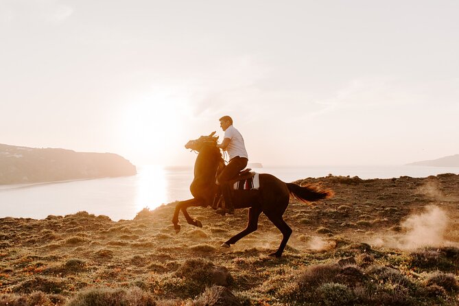 Beach Gallop - Horse Riding Safari for Experienced Riders - Horses, pacing, and the one thing you should never ignore: control