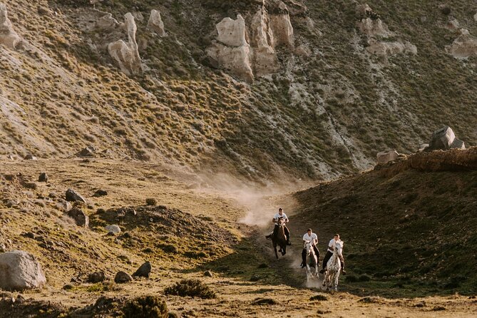 Beach Gallop - Horse Riding Safari for Experienced Riders - From Megalochori vineyards to the way down toward Eros Beach
