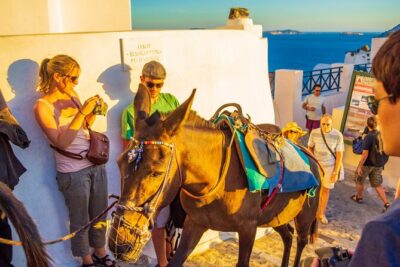 Best of Santorini Full Day Private Trip From Mykonos - Oia in One Hour: What You Can Do Without a Timeline Cram Session