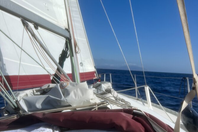 Half day Private Sailing cruise in Santorini island up to 6 pax - Food, Wine, and the Sunset Dinner Moment (What’s Included)