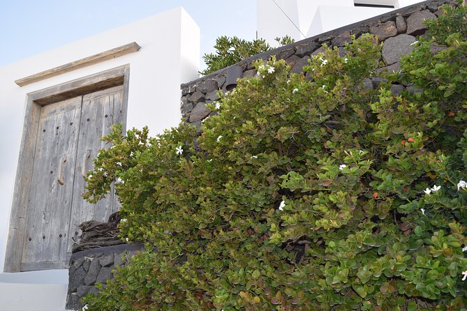 Hidden villages: Private tour 5-Hour - Stop 2: Megalochori’s traditional village streets with guided context