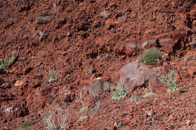 Hiking activity through the volcanic land of wonder - Stavros to the red hill: volcanic ash, white rock, and photos on hard mode
