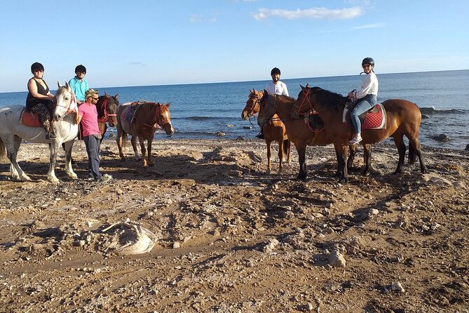 Horse Riding: Explore Secret Thera - Price and value: is $72.56 worth your hour?