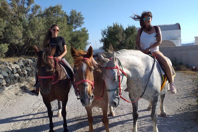 Horse Riding: Explore Secret Thera - Logistics that matter: meeting point, timing, and weather