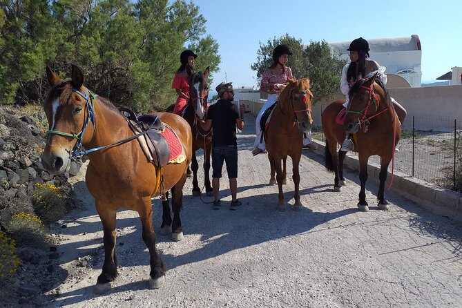 Horse Riding: Explore Secret Thera - Who this ride fits best (and who should skip it)