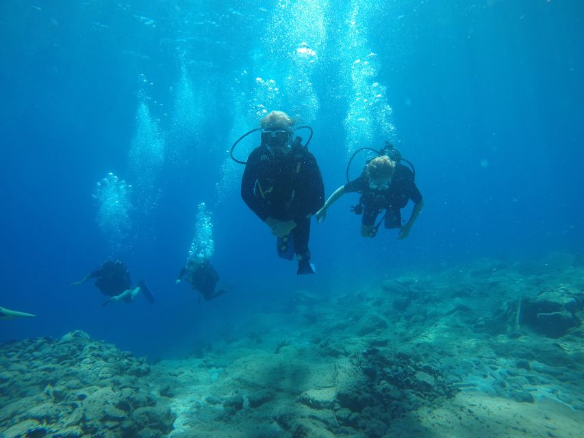 Oia: 2 Guided Scuba Dives off Santorini for Certified Divers - What underwater visibility feels like here (and why it matters)