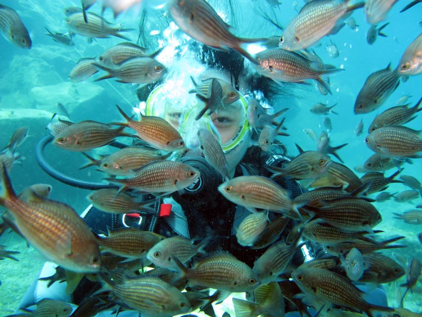 Oia: 2 Guided Scuba Dives off Santorini for Certified Divers - Who this is best for—and who should skip it