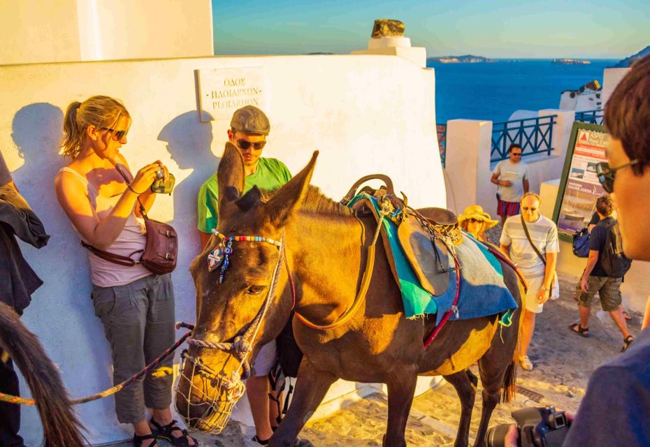 Oia Sunset Daily Tour - What You’re Really Buying: A 4.5-Hour Oia Sunset Window