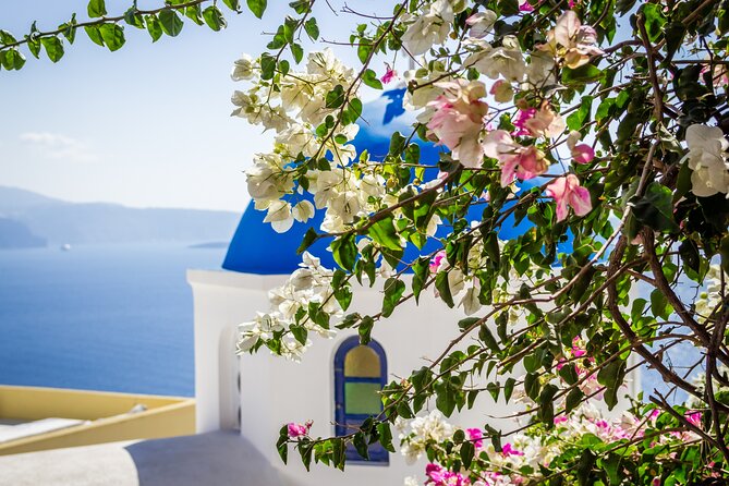 Private Captivating Santorini Highlights Tour inc. tastings - Venetsanos Winery: The 4-Glass Tasting With Caldera Views