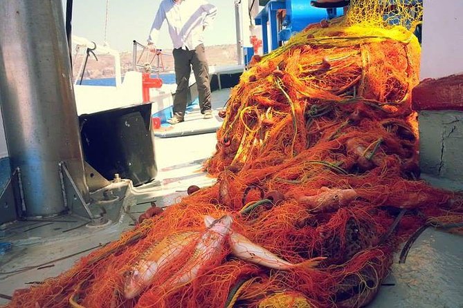 Private Fishing Tour - Morning (transportation included) - Price and value: is $480.63 per person fair?