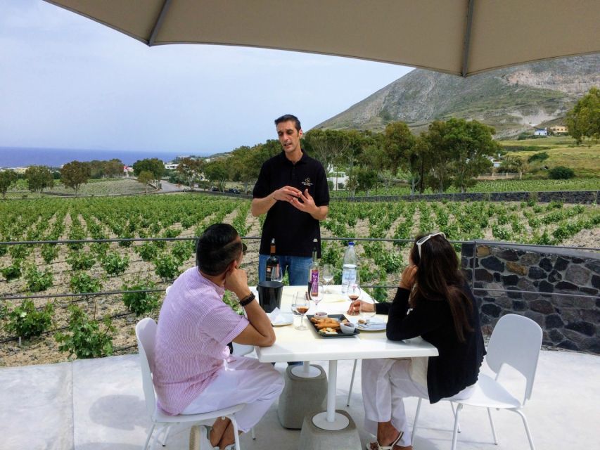 Private Group Visit to Akrotiri & 3 Wineries with Tastings - Should you book this Akrotiri and 3-wineries private tour?