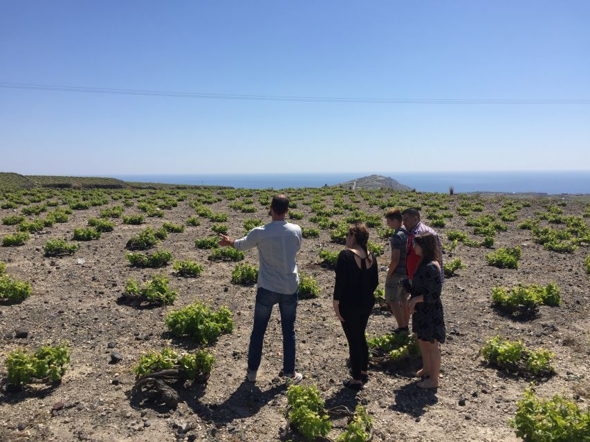 Private Group Visit to Akrotiri & 3 Wineries with Tastings - The Santorini story you’ll actually understand by the end