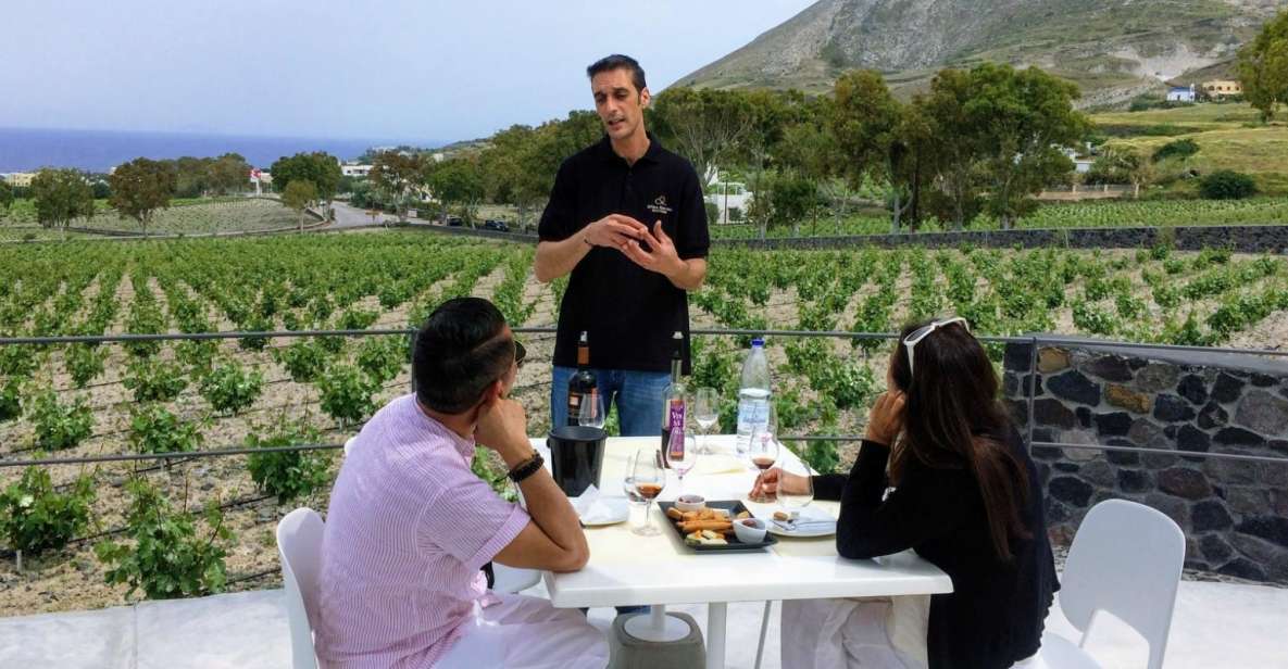 Private Group Visit to Akrotiri & 3 Wineries with Tastings - Who this tour is best for (and who should skip it)