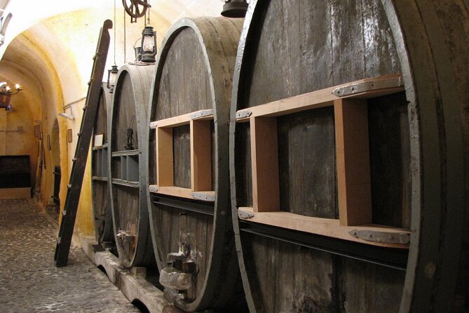 Private Half Day Tour with Wine Tasting in Santorini - Oia Village: cliffside photos, tight walking, smart timing
