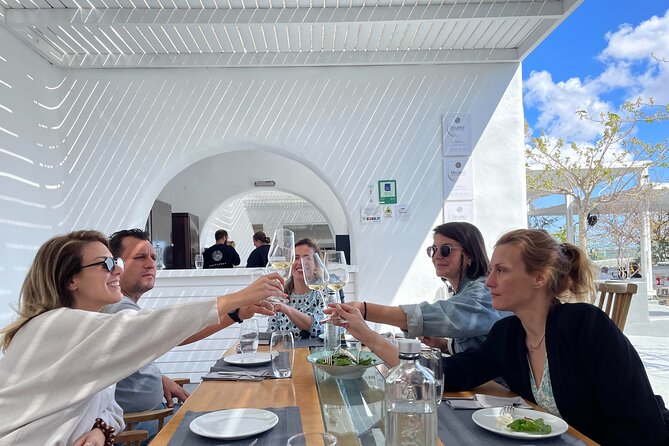 Private Santorini Daytime Wine Tour - The real value of going private in Santorini