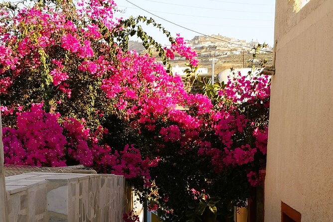 Private Santorini Highlights Tour with Easy and Flat Walks - Oia on foot: long photo time, whitewashed streets, and easy walking