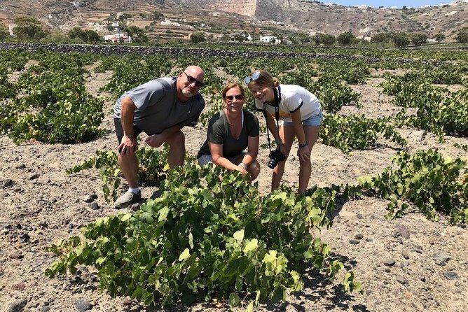 Private Tour: Great Wines and Famous Towns of Santorini - Hatzidakis Winery: a classic Santorini tasting with four wines