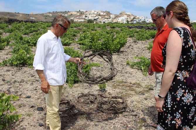 Private Tour: Great Wines and Famous Towns of Santorini - Wine-tasting reality check: whites-forward means plan your expectations