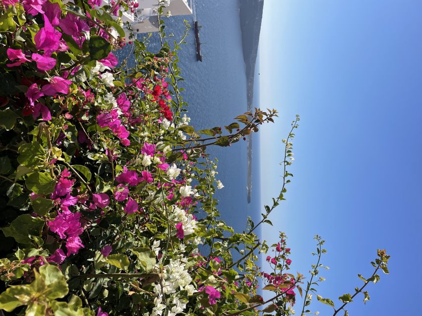 Private Tour of the Famous Blue Domes and Caldera - Key Highlights You’ll Care About