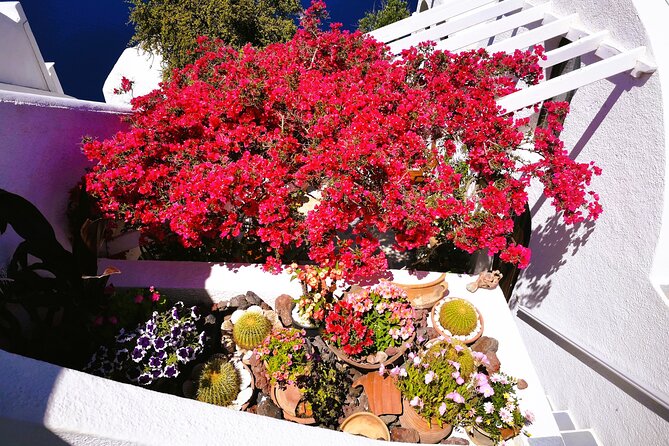 Private Unseen Authentic Santorini Half Day Island Tour - Why this private half-day plan works on Santorini