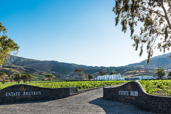 Private Wine Adventure Tour in the Most Distinct Wineries - Stop 1: Santo Wines on the caldera rim (and optional sommelier time)