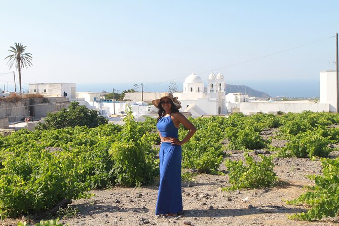 Private Wine Tour in 3 Wineries with 12 Wine Tastings and Tapas - Why this 4-hour Santorini wine loop is a smart use of your time