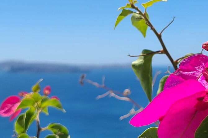 Romantic Tour through Santorini - The romance plan: Oia without feeling rushed