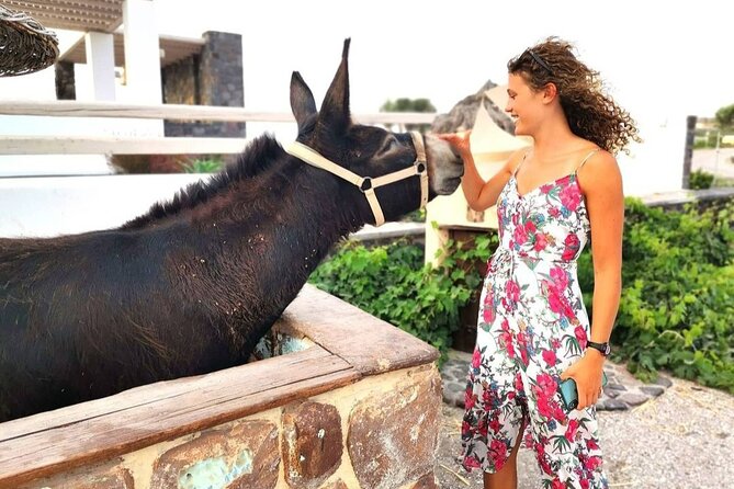 Santorini 4 hours Private Tour : Visit all the hotspots - Fira: the capital’s sugar-cube streets in a quick 20-minute stop