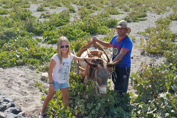 Santorini: 4hr Private Wine Tasting Tour - How the private guide experience elevates the tasting
