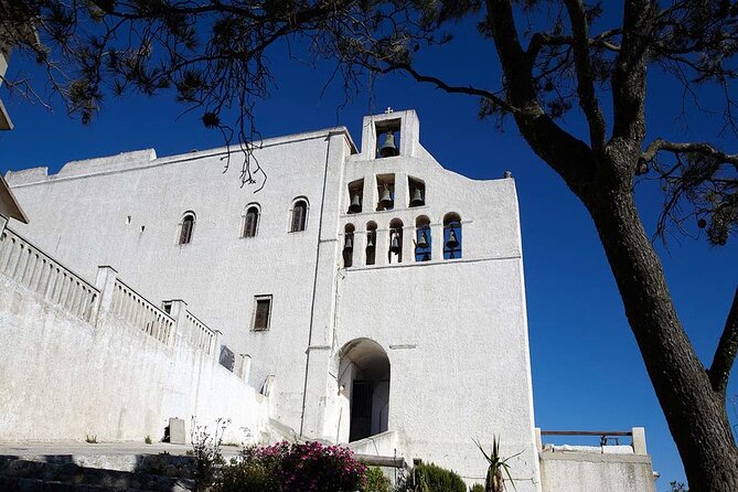 Santorini: 4hr Wheelchair Private Accessible Tour - Private Tour Value: Why This Can Be Worth the Price