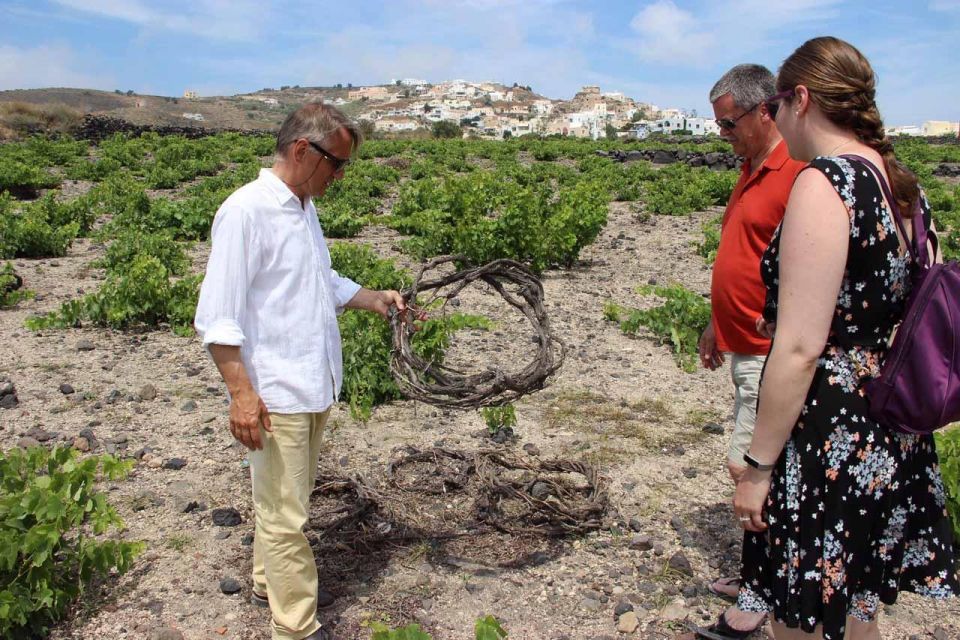 Santorini: 5-Hour Private Wine Tour - Views and driving: Santorini countryside without the chaos
