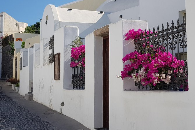 Santorini: 6hr Small Group Shore Excursion Villages & Wine - Price and value: what $156.19 per person covers