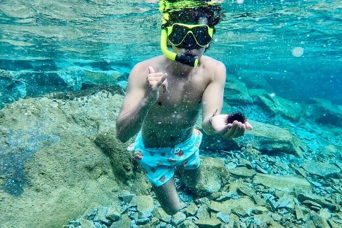 Santorini Caldera Day Traditional Cruise with Meal and Drinks - Thirassia Swim, Snorkel, and a Real Lunch on Board