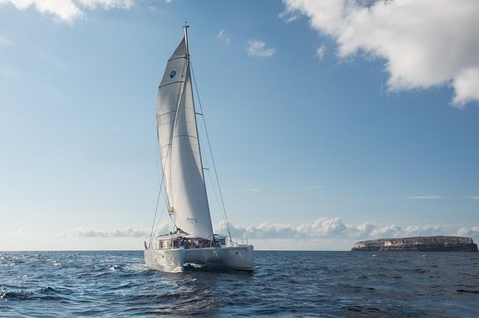Santorini Caldera Sailing Tour with BBQ Lunch and Drinks - The BBQ lunch and unlimited drinks: the mid-cruise reset