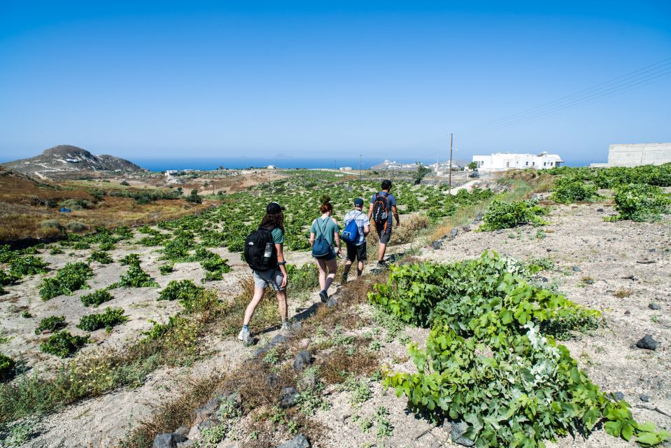 Santorini: Cooking Class and Easy Hike - Who should book this Santorini hike and cook day?