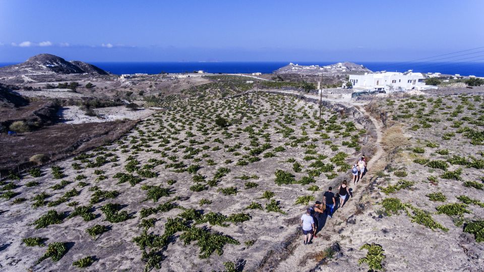 Santorini: Cooking Class and Easy Hike - Lunch you make: flavors, portions, and local conversation