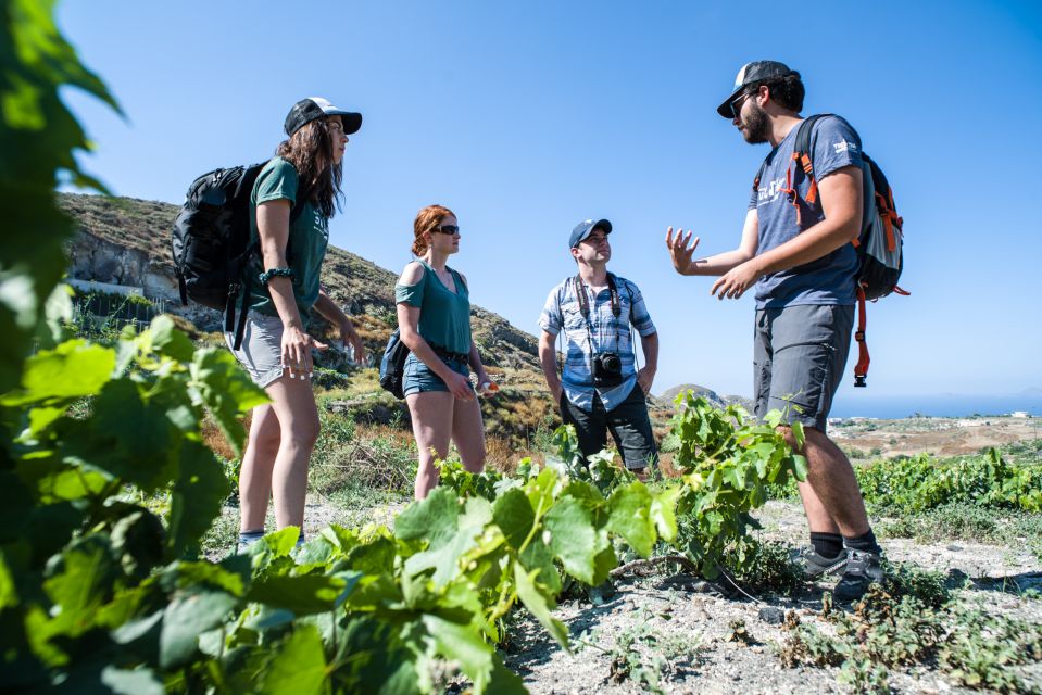 Santorini: Cooking Class and Easy Hike - Timing and transport: how this 4-hour plan stays smooth