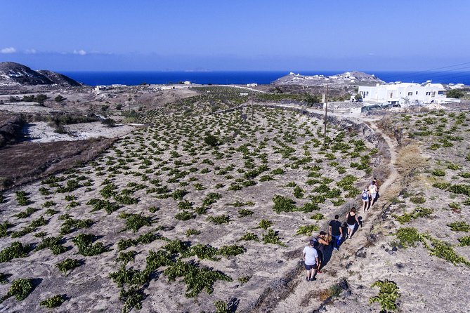 Santorini : Cooking Class & Easy Hike - The Cooking Lesson: Where the Day Gets Personal