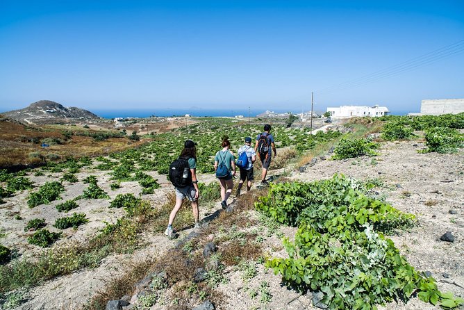 Santorini : Cooking Class & Easy Hike - How the Whole Schedule Works (and Why It Feels Efficient)