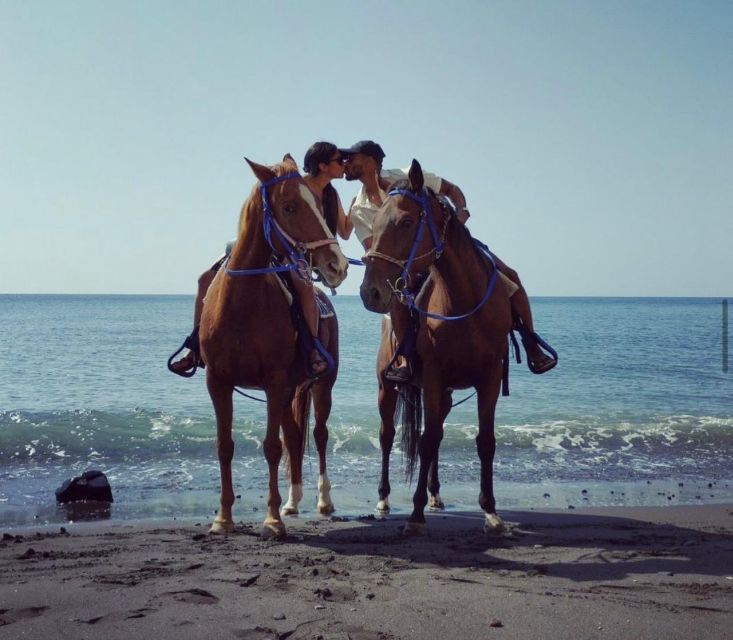 Santorini Fun day: Horseriding- Wine Tasting - Tapas - A 5-hour mix of horses, wine, and Greek plates