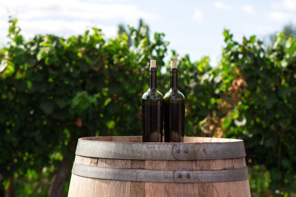 Santorini: Greek Cooking Class with Wine Tasting - Key highlights worth planning for