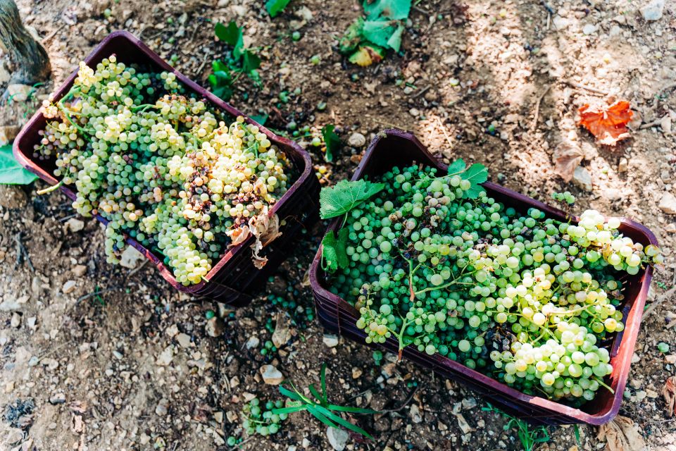 Santorini: Greek Cooking Class with Wine Tasting - Why this Santorini combo works in just 4 hours