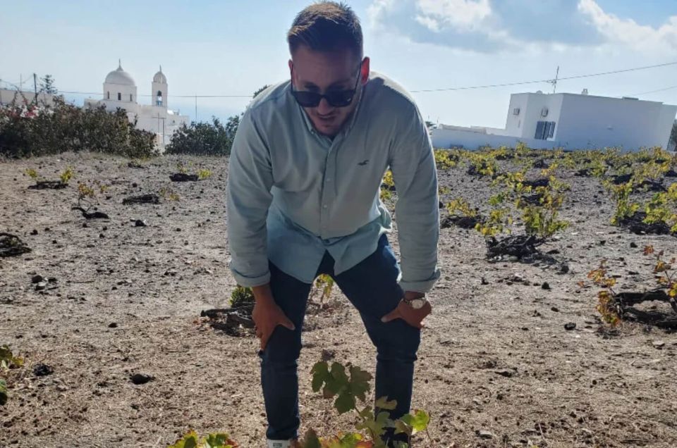 Santorini: Guided Highlights Tour with Private Wine Tasting - A Private Highlights Day That Actually Feels Like Santorini